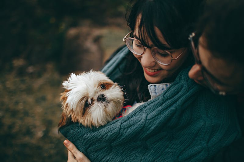 A couple lovingly holds their small dog