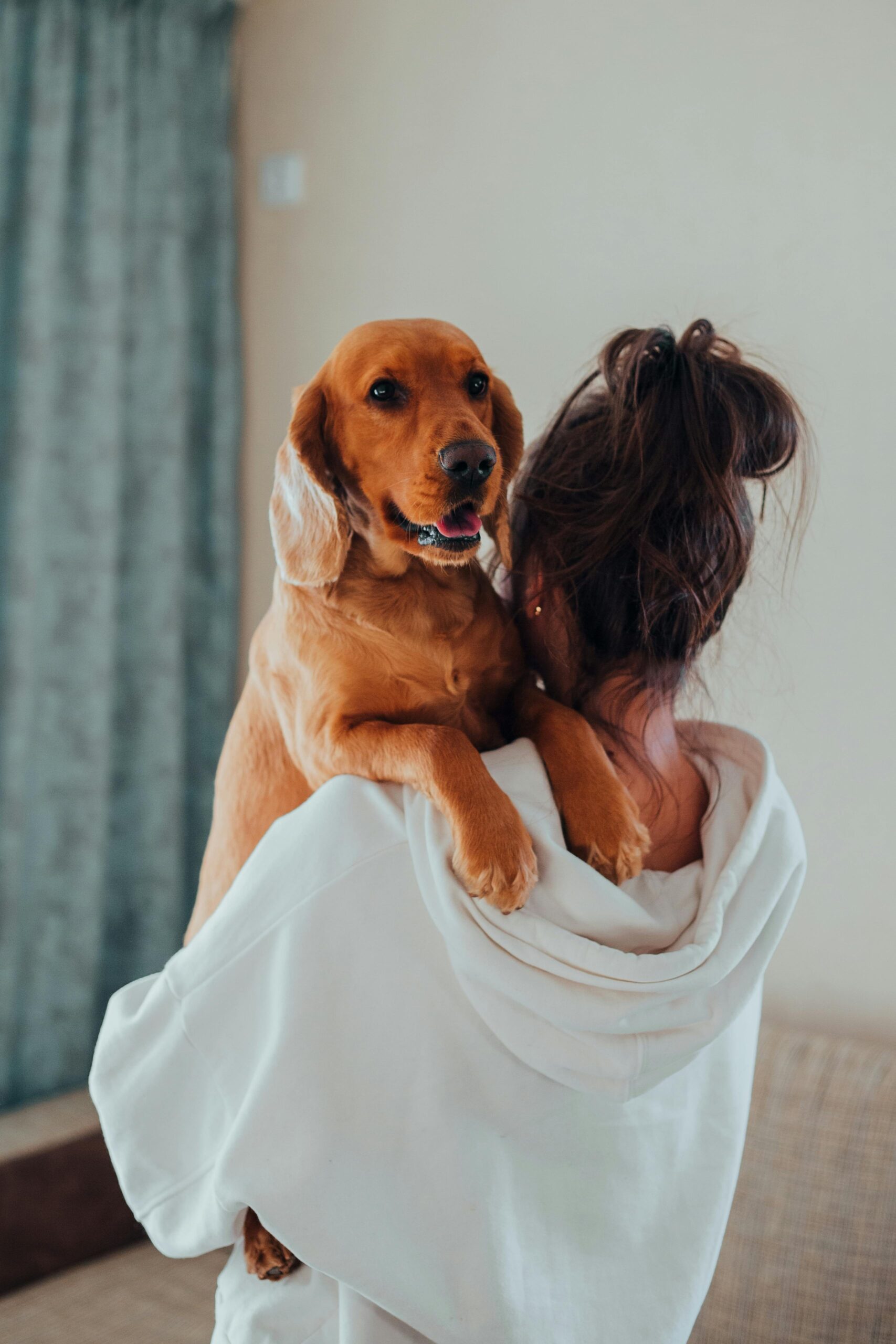 Woman holding her dog close, grieving the loss of a beloved pet